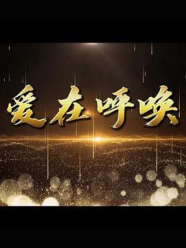 爱在呼唤 第12集